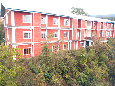 Mini Secretariate buildings Tamenglong look isolated in tall bushes.