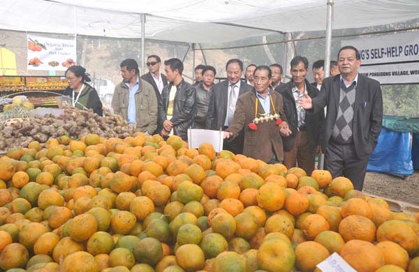 Legislator Kejong Chang visiting exhibition stalls at the Hortiscape.