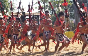 Naga tribesmen perform a cultural dance on the third day of the state annual Hornbill Hornbill Festival at the Naga Heritage village Kisama, some 15 kms away from Kohima, Nagaland on Saturday, 03 December 2016. Photo by Caisii Mao