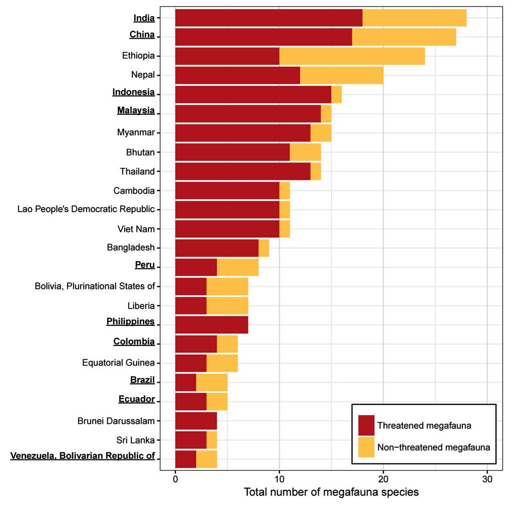 The number of mammalian terrestrial megafauna species found in countries with at least four megafauna species overall and at least 40 percent of their megafauna threatened; the countries underlined with bold labels are biodiversity-rich countries (Mittermeier et al. 1997). Each species was treated as present in a country if it was listed as native to that country on its IUCN Red List species fact sheet page (IUCN 2015). Threatened megafauna are those with IUCN Red List status vulnerable, endangered, or critically endangered. Of the 17 biodiversity-rich countries, more than half (10) appear in this figure. Many of the other countries listed in the figure also have relatively high levels of biodiversity because they are located at low latitudes where productivity and biodiversity are high. The megafauna in this figure are terrestrial carnivores greater than or equal to 15 kilograms in size and herbivores greater than or equal to 100 kilograms in size, as defined in Ripple and colleagues (2014, 2015). 