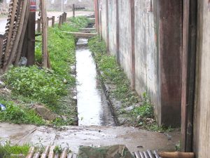 The drain along Kalibari Road is almost flooded even from a light shower on Monday.