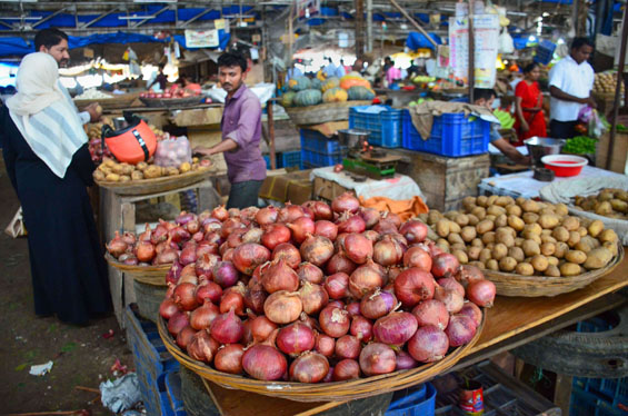 Government allows export of 99,150 tonnes of onion to 6 countries