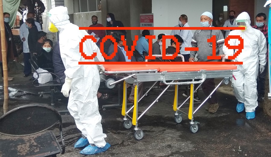 Nagaland Covid-19 update