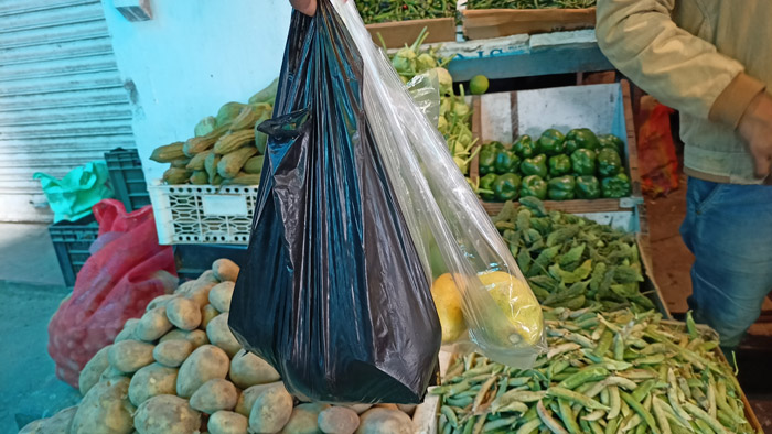 Nagaland relaxes ban on single-use plastics until November 2024