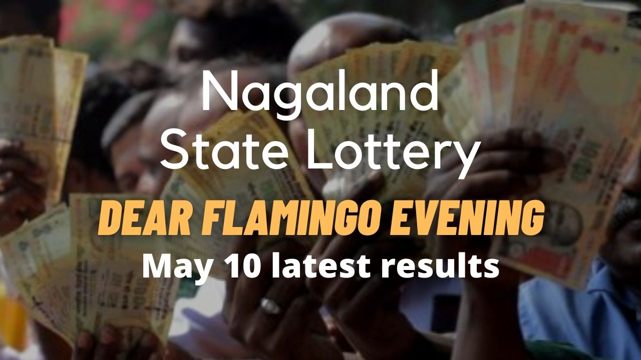 Nagaland State Lottery Dear Flamingo Evening result for May 10