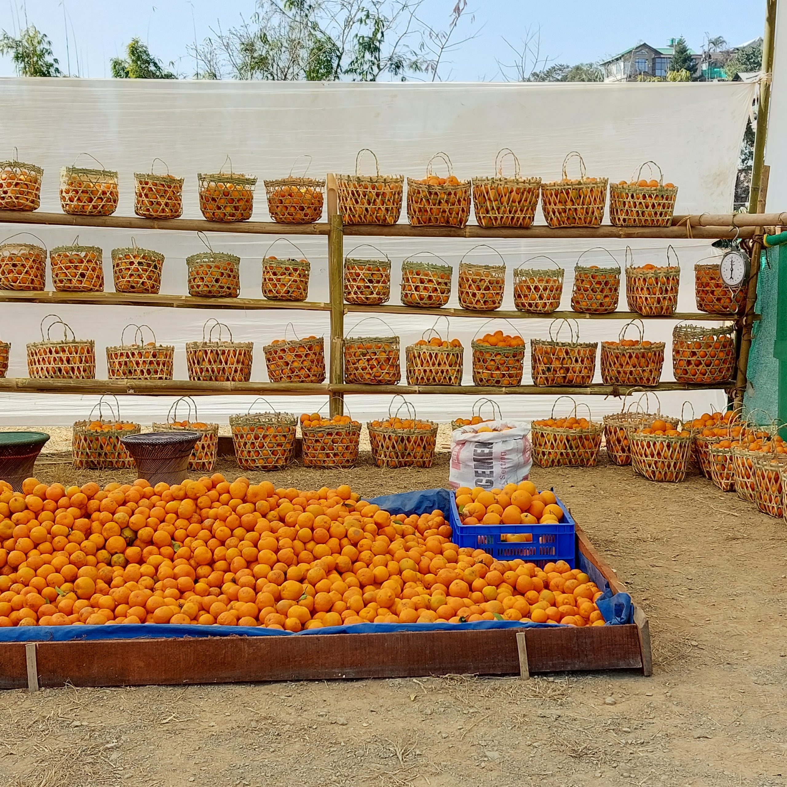 Rusoma Orange festival
