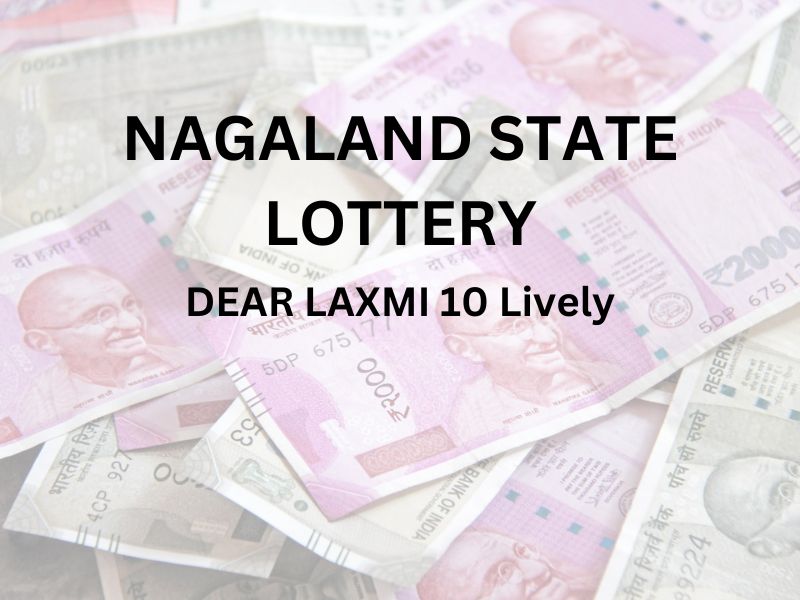 Dear Laxmi 10 Lively