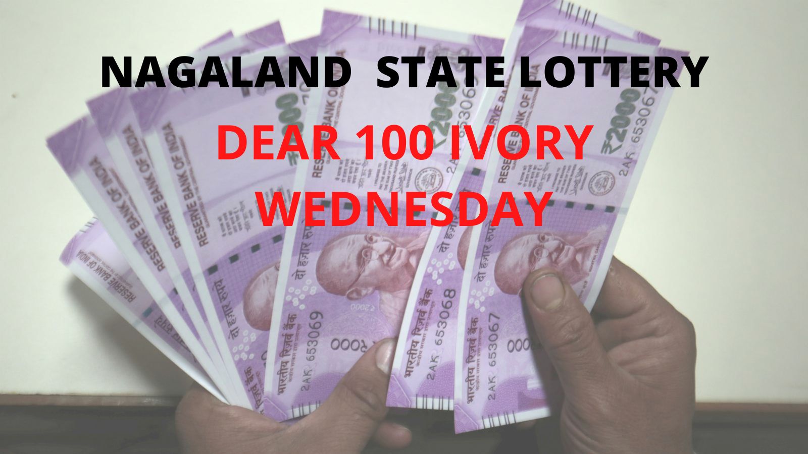 Dear 100 Ivory Wednesday