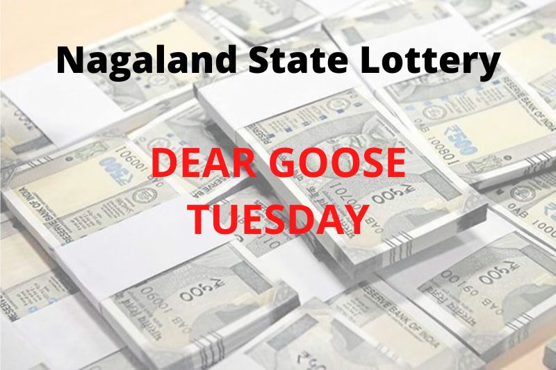 Dear Goose Tuesday