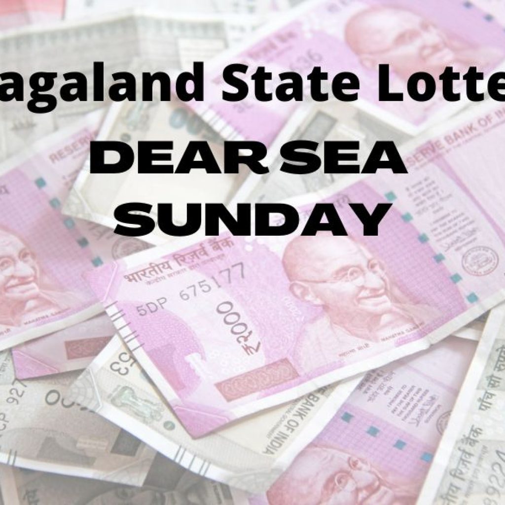 Dear Sea Sunday