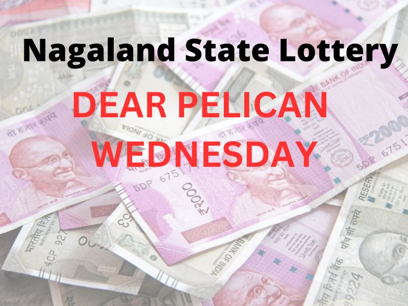 Dear Pelican Wednesday