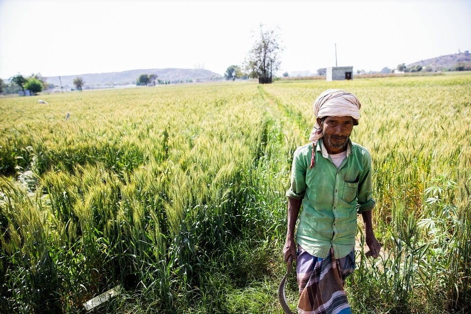 Microsoft, Accenture to empower 13 Indian social impact startups