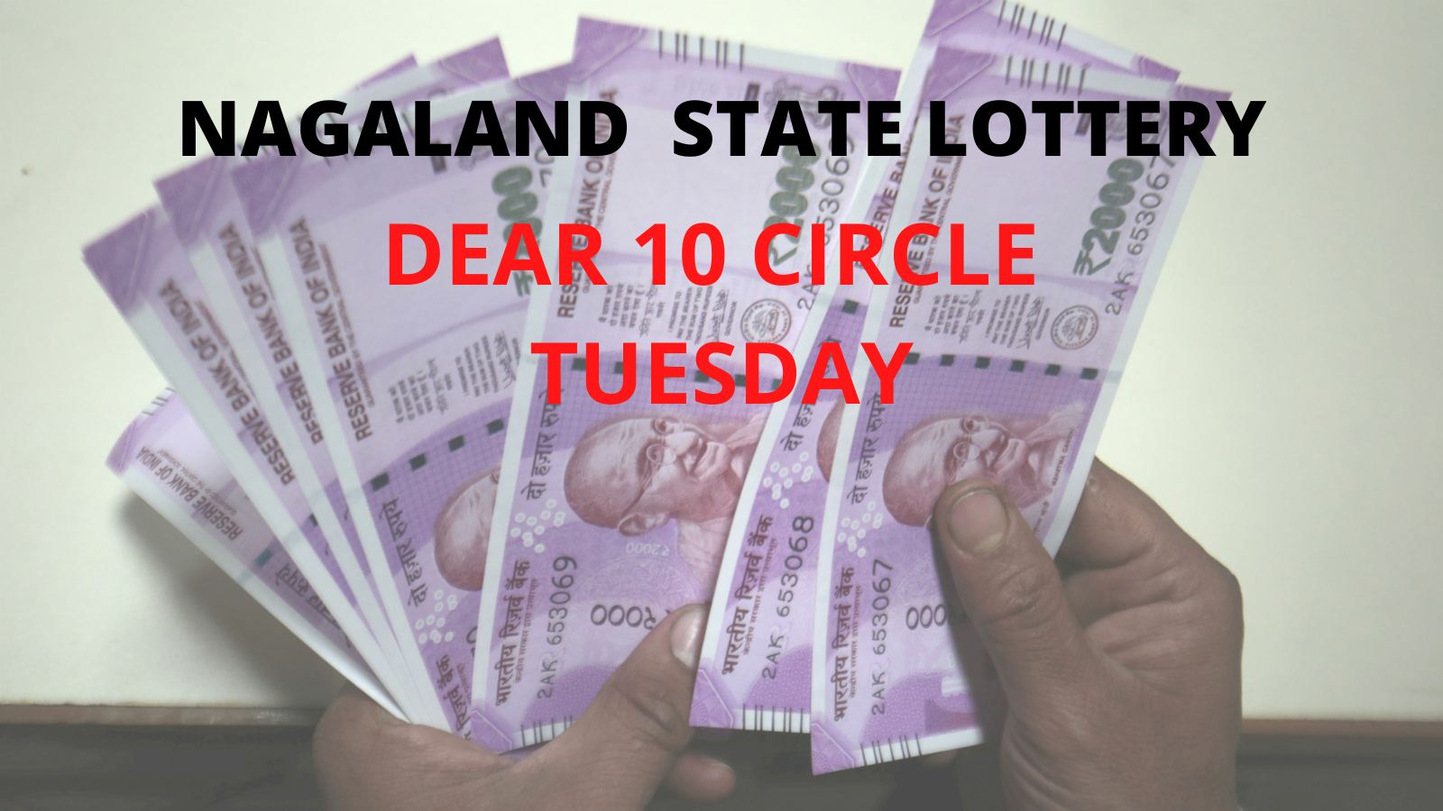 Dear 10 Circle Tuesday