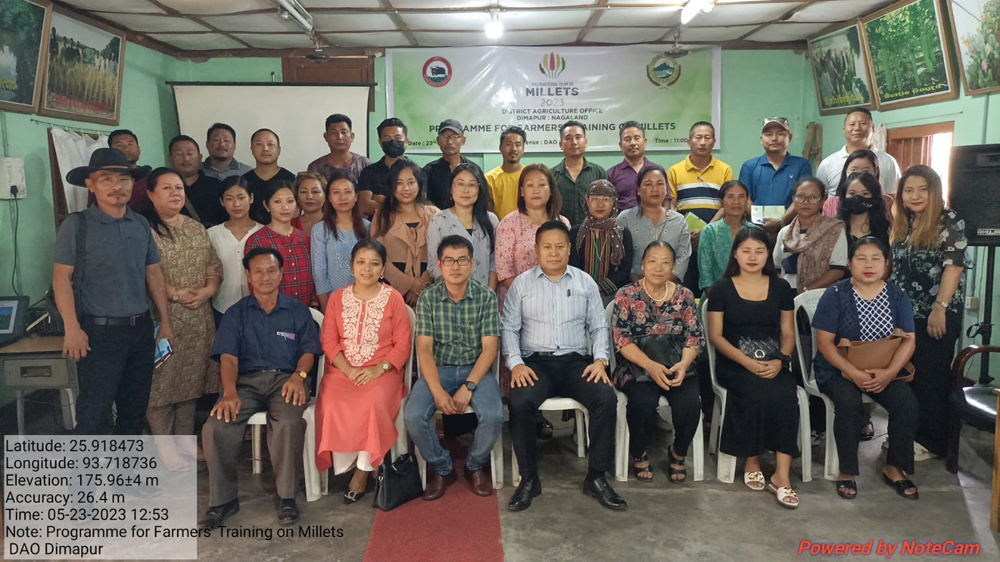Agriculture dept. promotes millet cultivation