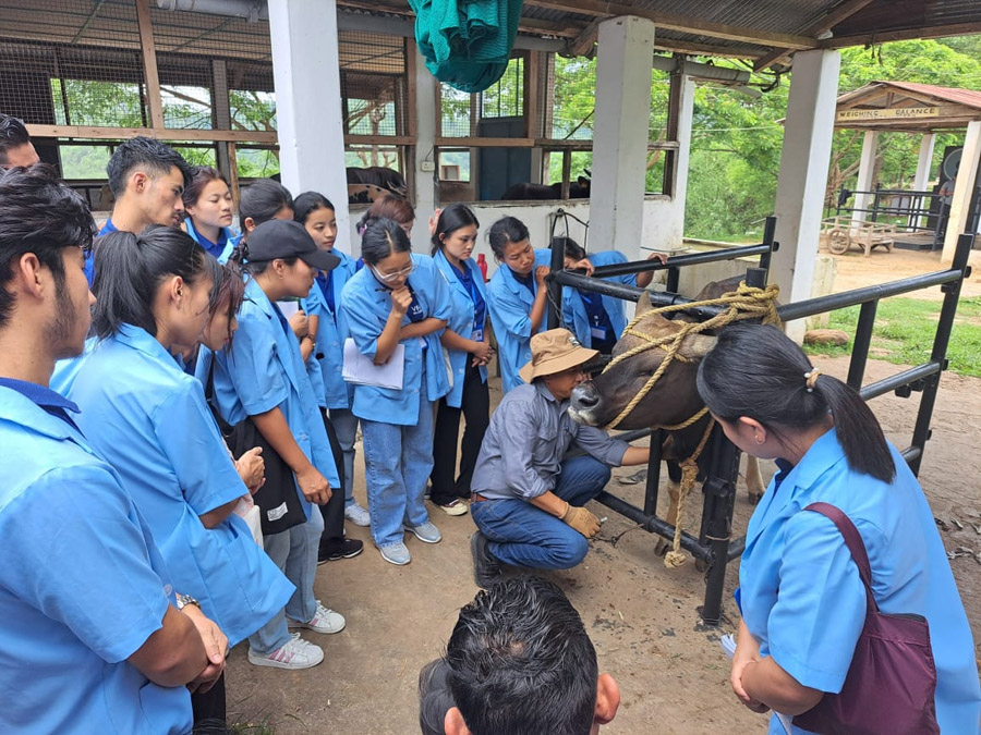 ICAR-NRC on Mithun conducts training for VFA trainees