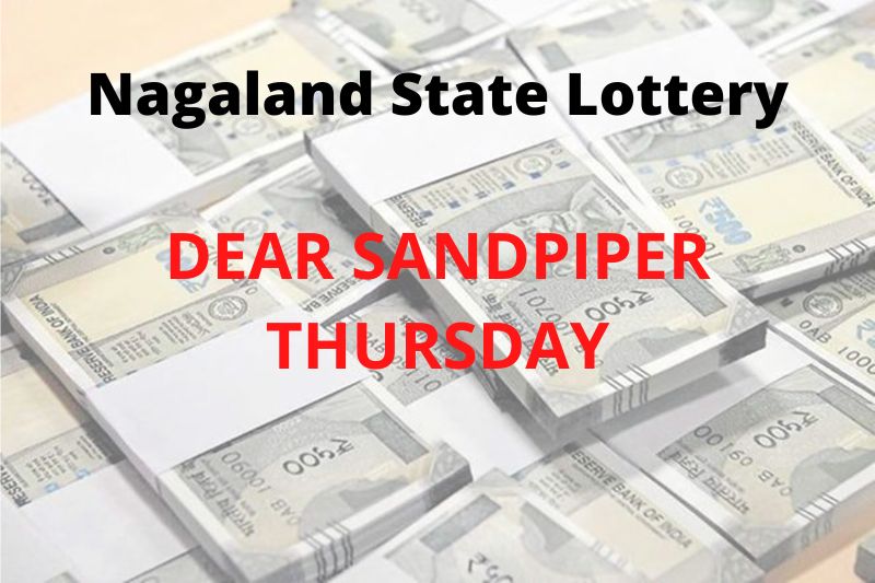 Dear Sandpiper Thursday