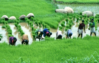 Digital crop survey in 19 UP districts