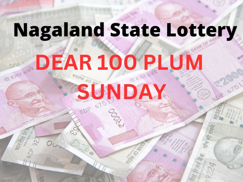 Dear 100 Plum Sunday