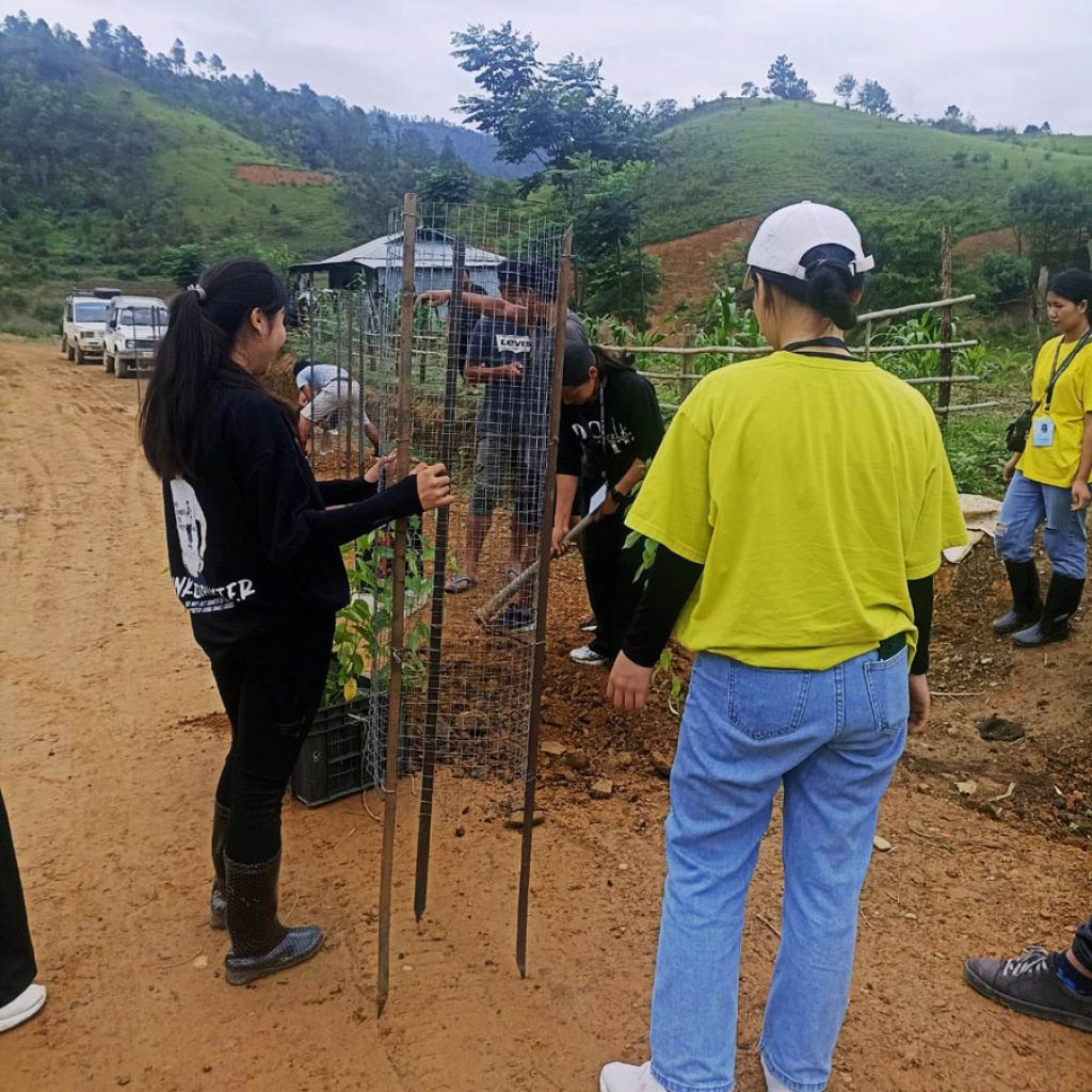 Poumai students in Shillong adopt cherry saplings at Naamai Zho (4)