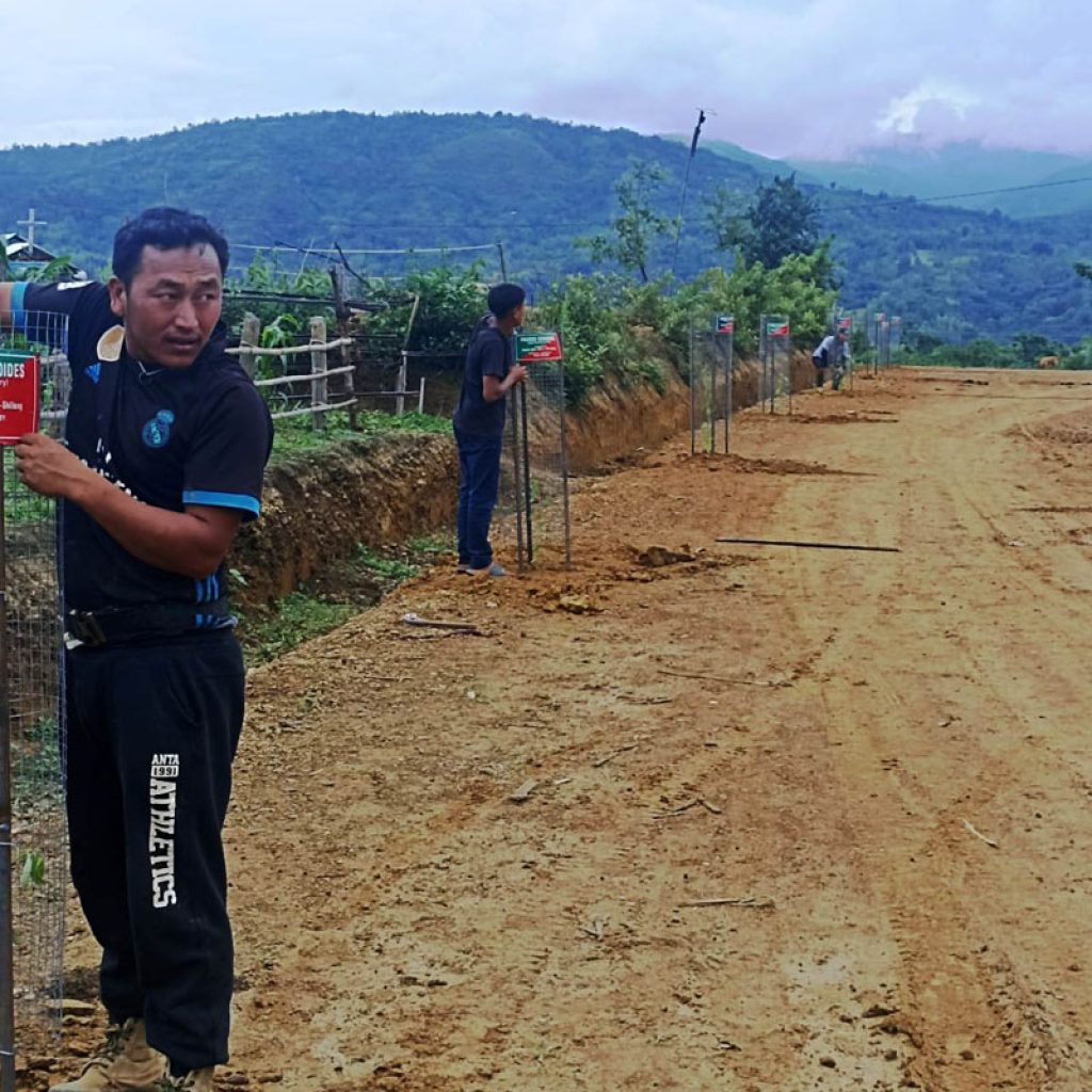 Poumai students in Shillong adopt cherry saplings at Naamai Zho (4)