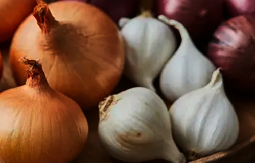 Prebiotic rich artichokes, garlic & onions can keep your gut healthy: Study