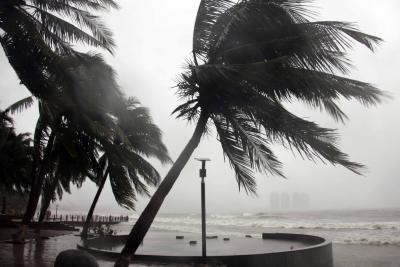 Typhoon