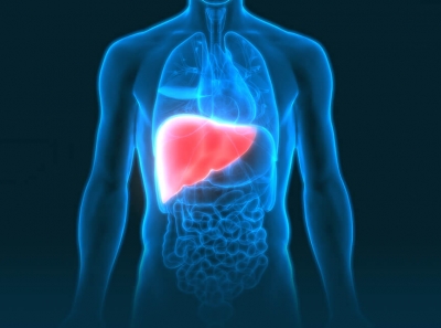 liver cancer