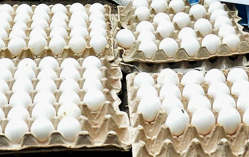 Sri Lanka to import over 92 million eggs from India