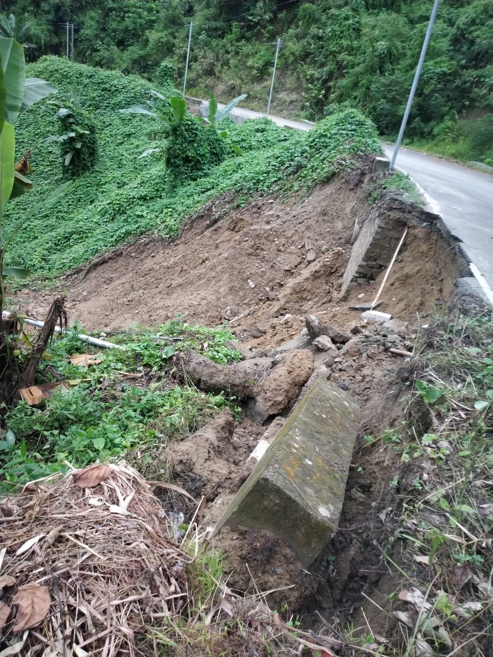 Landslides on Wokha-Merapani road disrupt communication