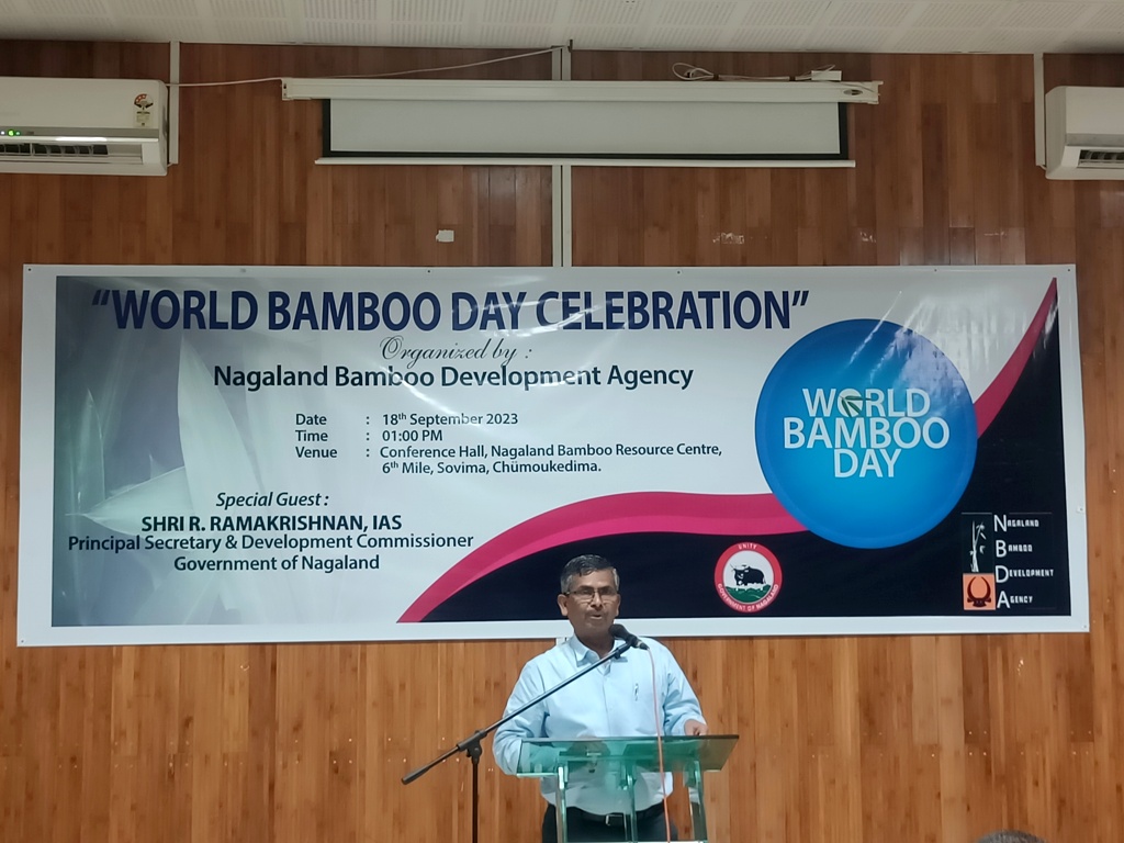 NBDA moots integrated bamboo park, pulp production centre in Nagaland