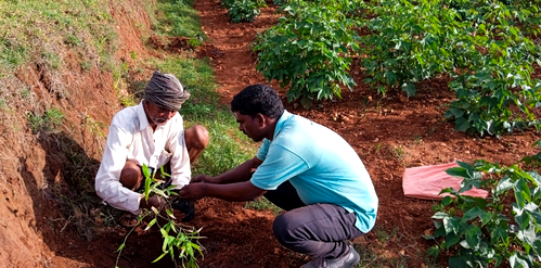 Amazon to invest $15 mn in nature-based projects in Asia-Pacific