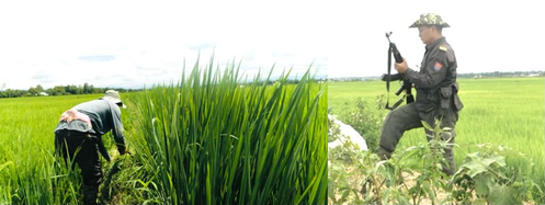 Manipur