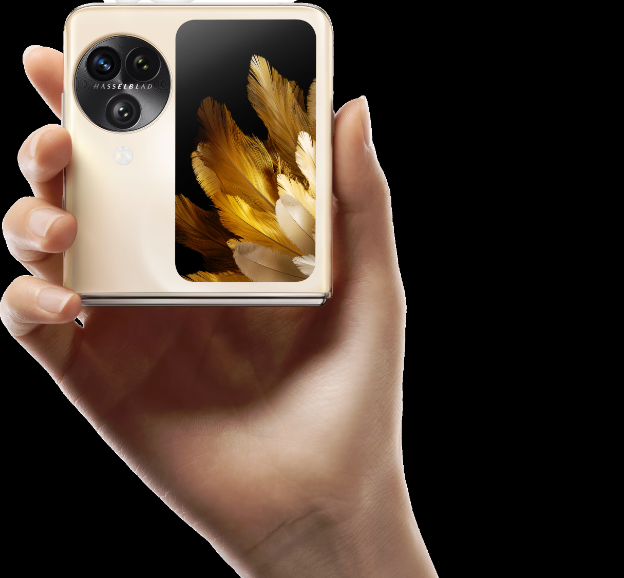 Oppo Find N3 Flip