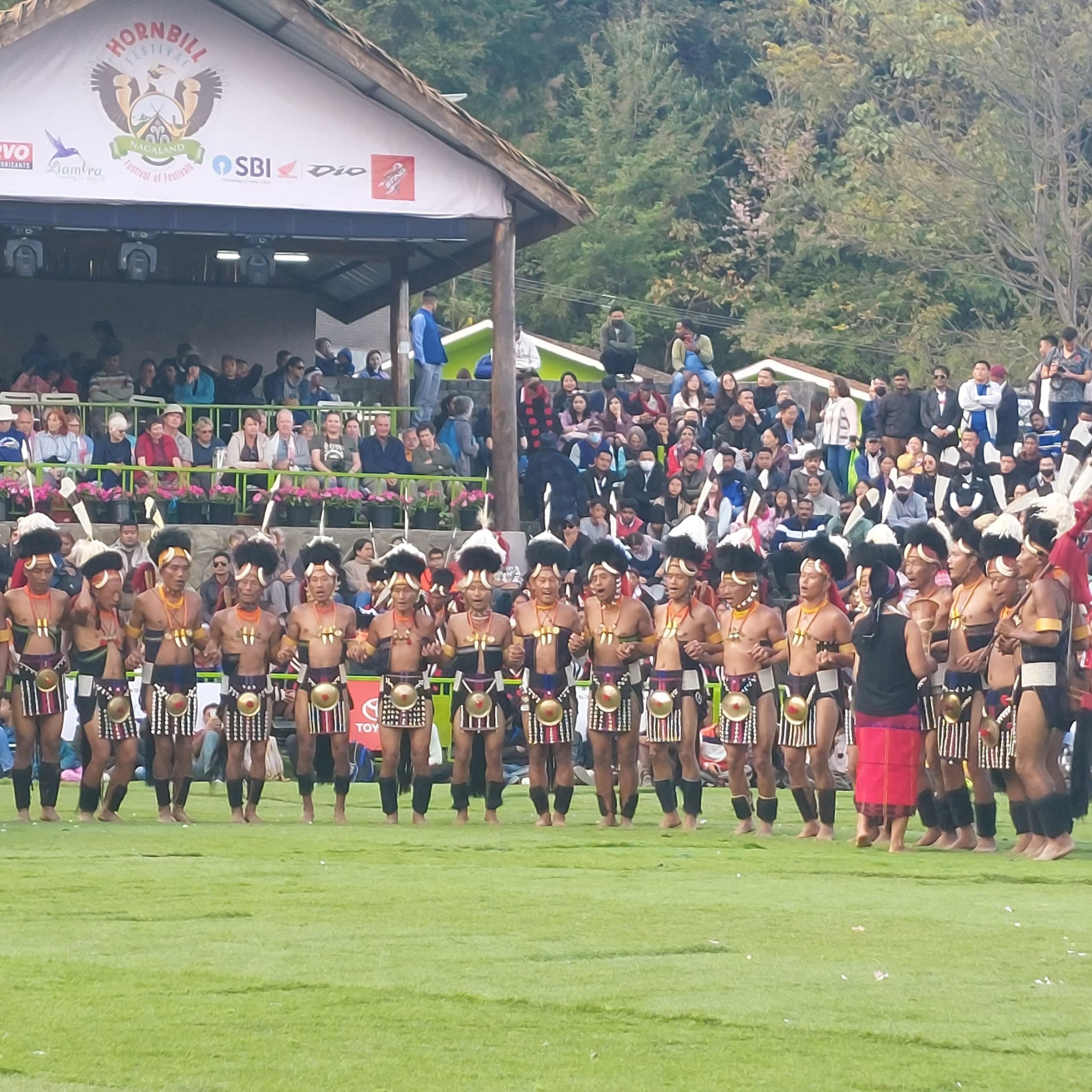 HORNBILLL FESTIVAL