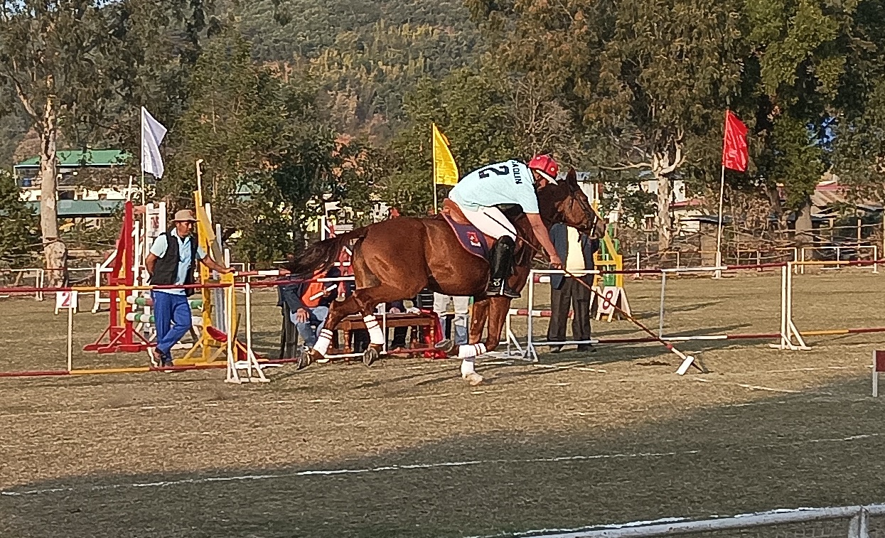 N Tombi State Equestrian Championship