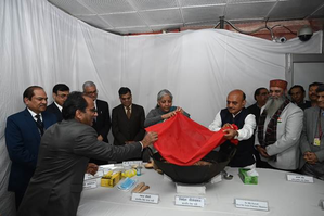 Interim Budget 2024