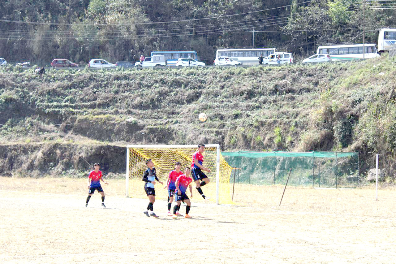 Kenguruse
