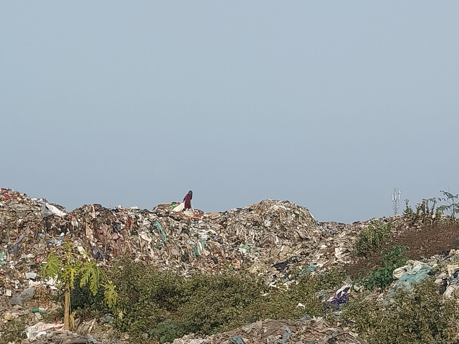 Dumping