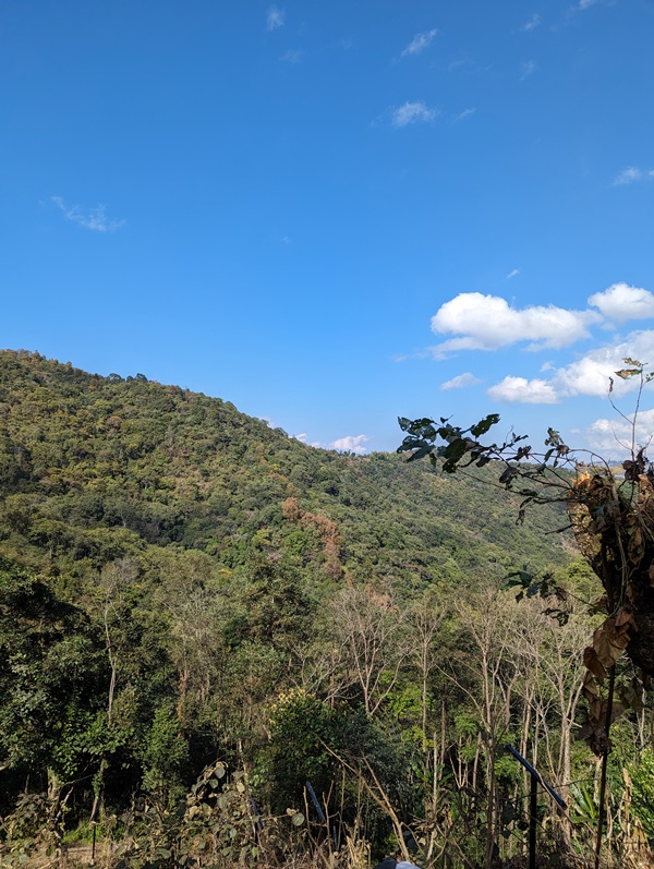 Nagaland
