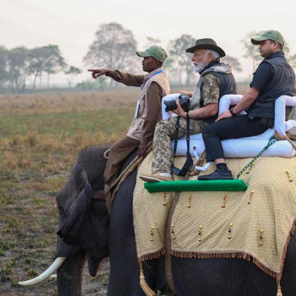 Kaziranga National Park