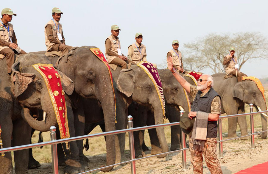 Kaziranga National Park