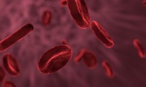 Gene therapy holds promise for blood disorder haemophilia — Doctors