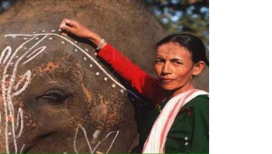 India's first woman 'mahout' breaks the glass ceiling to win Padma Shri award