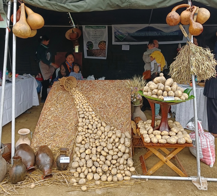 Nagaland potato festival