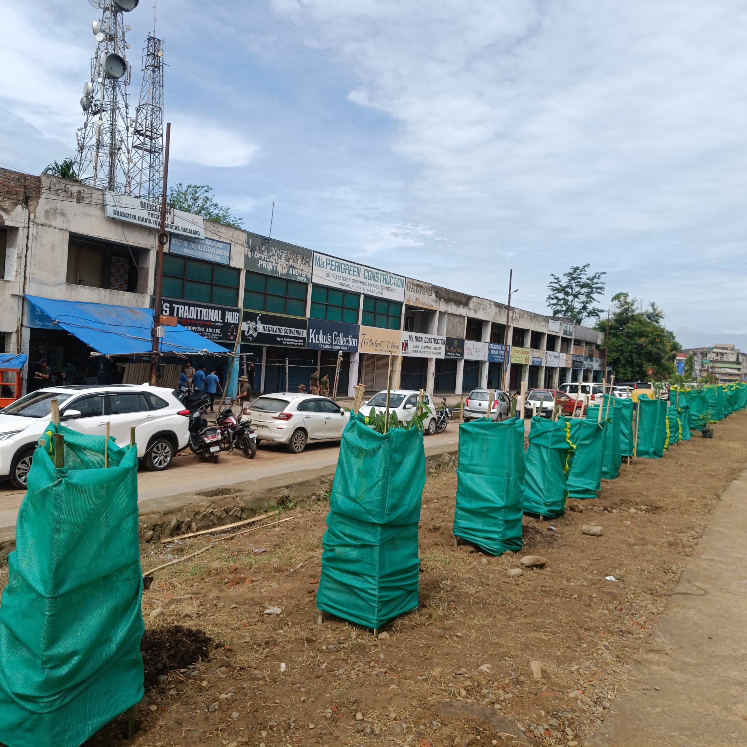 Plantation drive: Naga Shopping Arcade to don green look soon