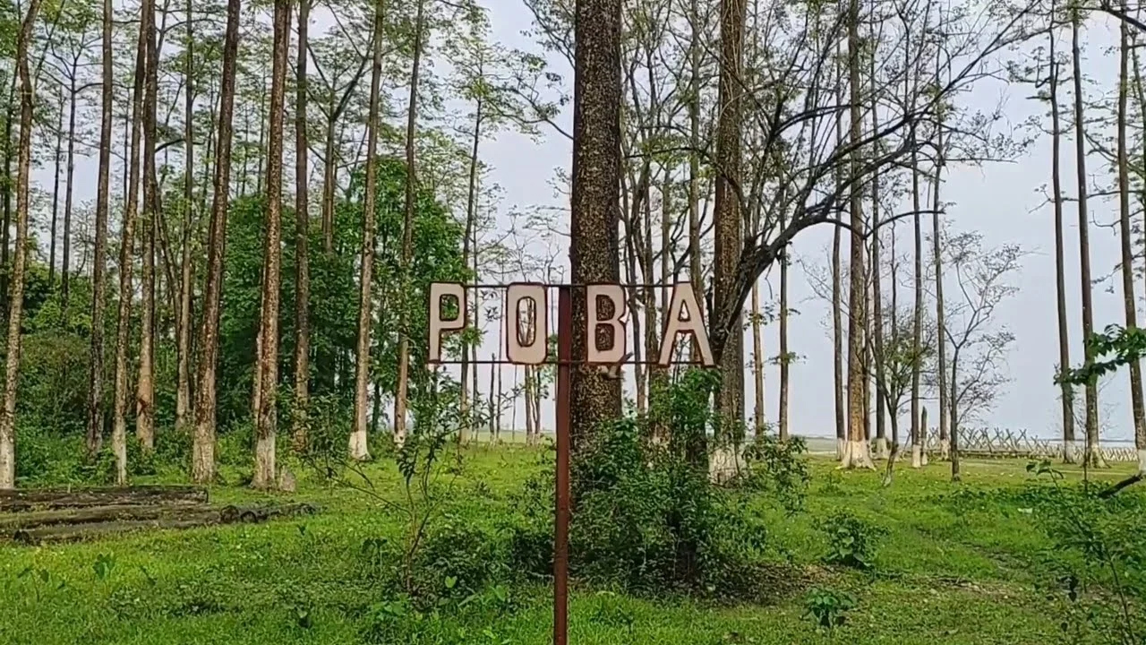 Poba Reserve Forest