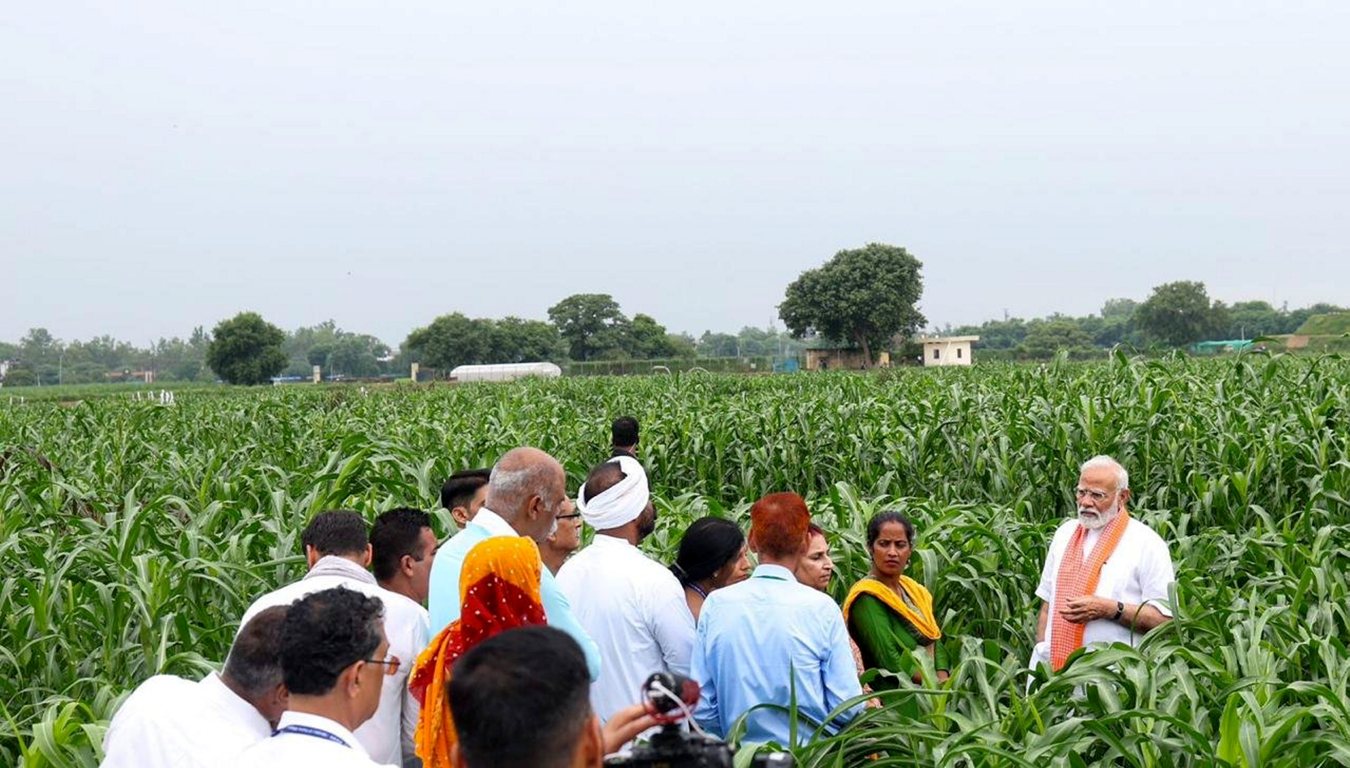 Modi 