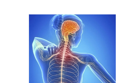 Study finds biomarkers to predict disability progression in multiple sclerosis
