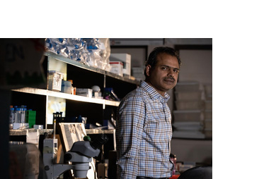 Indian-origin scientist discovers protein function that may treat age-related diseases