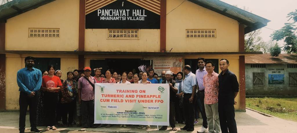 kvk Peren organisies training on turmeric and pineapple cultivation